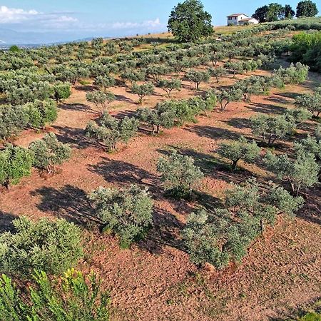 Agriturismo Incanto Della Natura Cannara Экстерьер фото